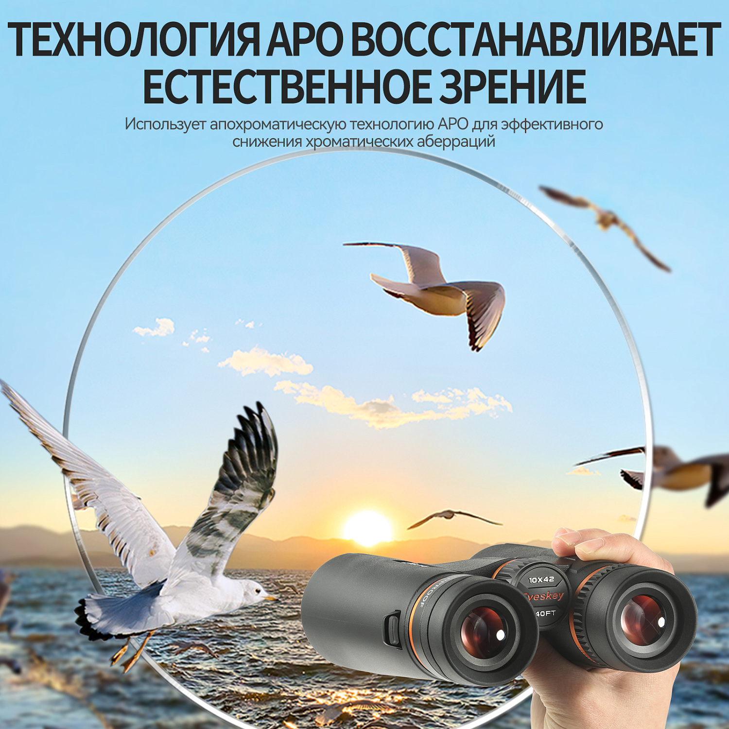 Бинокль Eyeskey ProPilot APO EB - 10x42