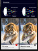 Бинокль Eyeskey Sport ED-10x50 EyeS-B106 от прозводителя Eyeskey