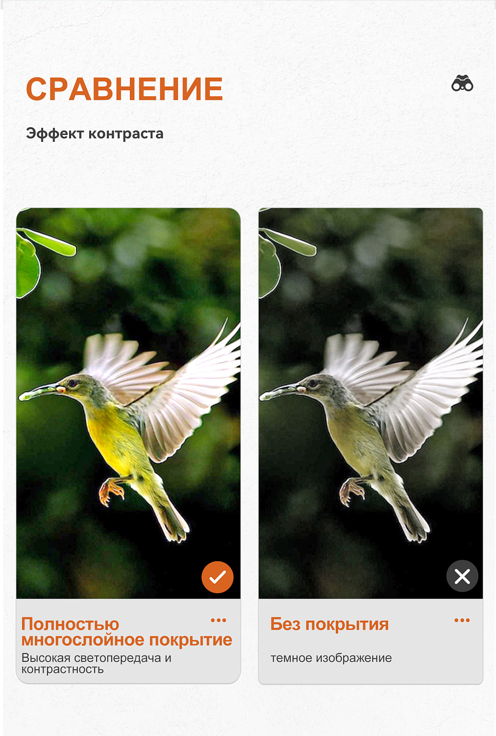 Бинокль Eyeskey SkyPower Flat-Field ED-10x25
