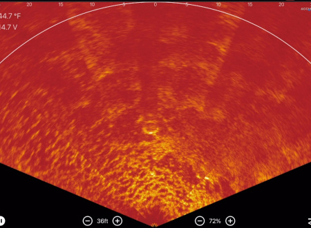 Accuphy PingLive Sonar APL от прозводителя ACCUPHY