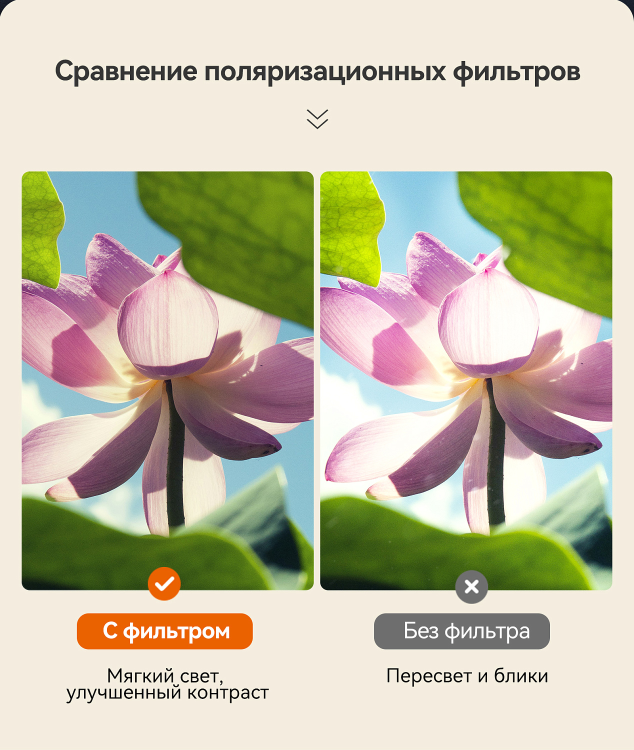 Бинокль Eyeskey Vigil - 12x50